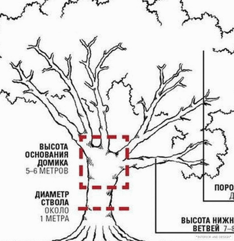 Шемата за изградба на куќа на густо дрво