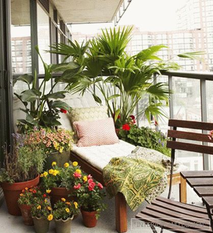 Прекрасна градина на балконот