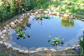 Езерце со вода лилјани